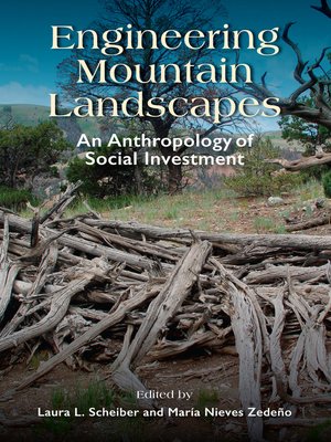 cover image of Engineering Mountain Landscapes